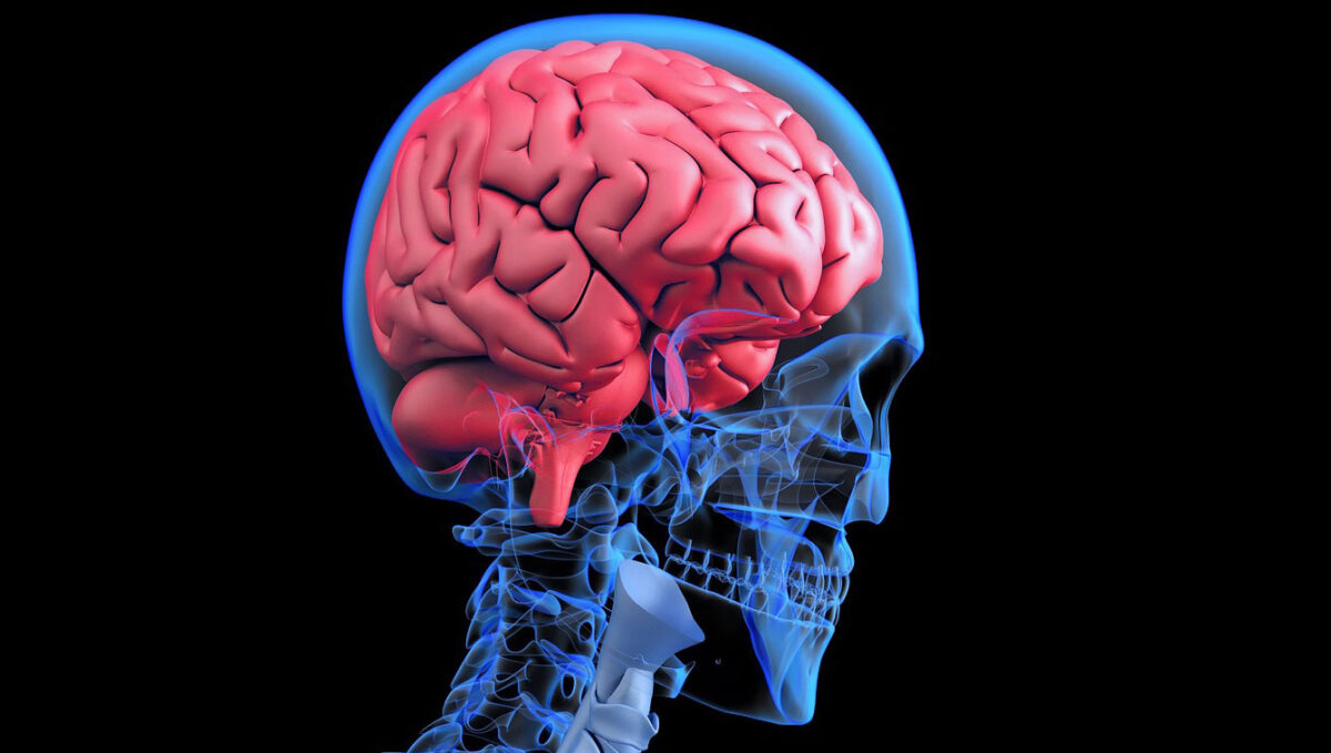 What is a Traumatic Brain Injury (TBI)? | Indianapolis IN Injury ...