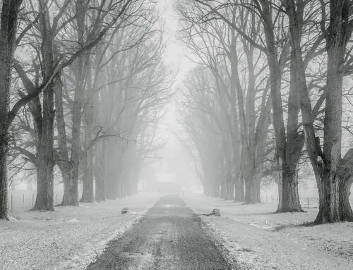 Preparing to Drive on Snowy and Icy Roads in Indiana