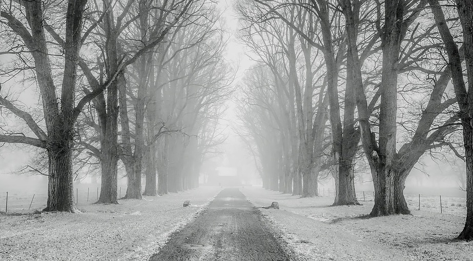 Snow Car Accident Indiana